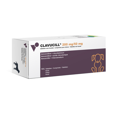 Clavucill 200 mg/50 mg comprimes pour chiens, 10 x 10 tablets