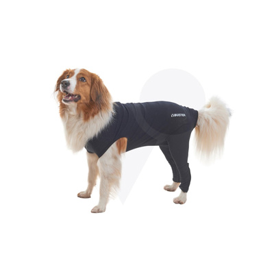 Buster Body Sleeve Chien Pattes Arrière