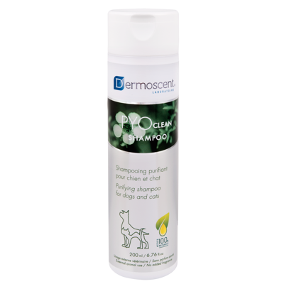 Dermoscent® Pyoclean Shampoo Chien & Chat 200 ml
