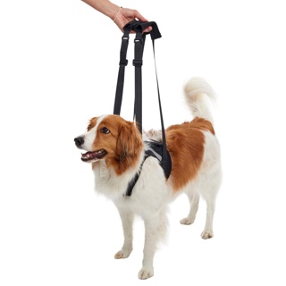 Kruuse Rehab Lifting Harness Front Legs XS
