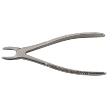 Tooth Forceps Small Animals
