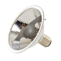 Bulb 23 V 80 W For Lamp Mach M2