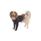 Buster Body Sleeve Chien Pattes Avant